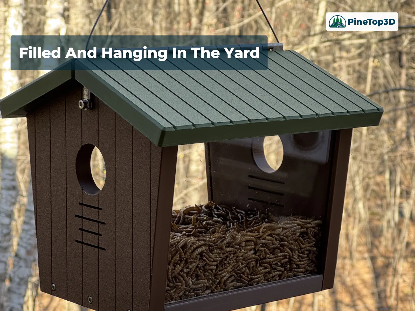 The bluebird feeder filled with mealworms, hanging from its wire among bare trees