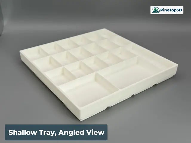 Shallow tray, angled view
