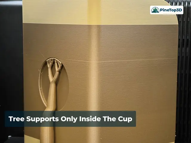 Tree support inside the cup recess