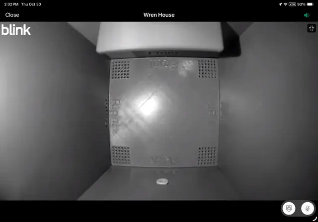 Live Blink camera view — Wren house interior (infrared)
