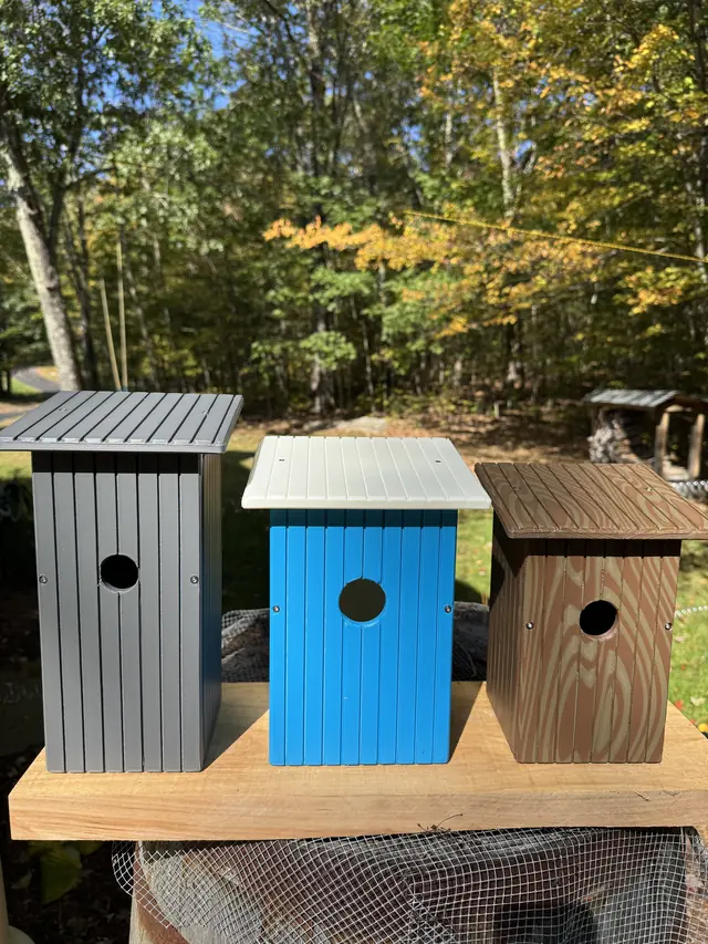 The three houses lined up outdoors, second angle